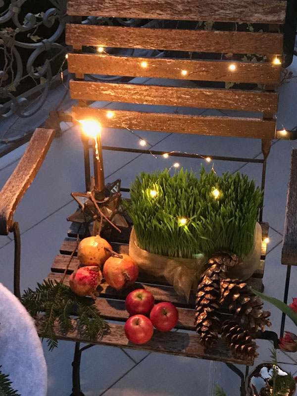 garden chair featuring fresh sabzeh illuminated by Christmas tree lights