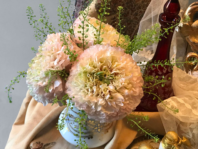 Pom Pom ranunculi flower