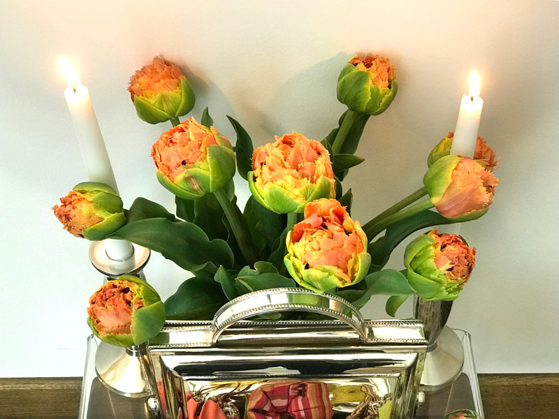 late double Tulips and flames