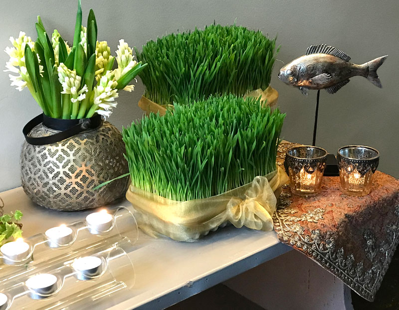 Sofreh with germinated wheat