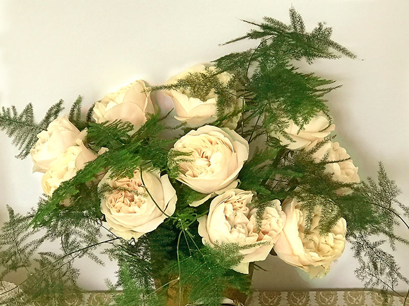champagne-coloured roses