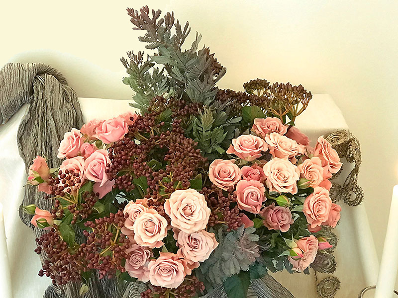 silvery foliage with wine-coloured blush