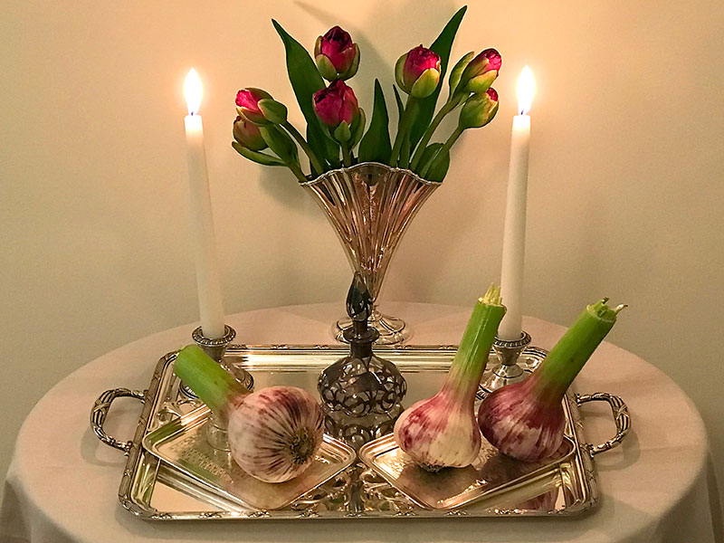 display of garlic bulbs, vinegar, flames, tulips
