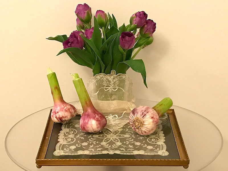 glass table with lace, tulips, and garlic