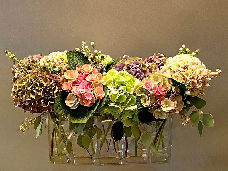 Row of tones of green, pink and blue Hydrangeas with foliage