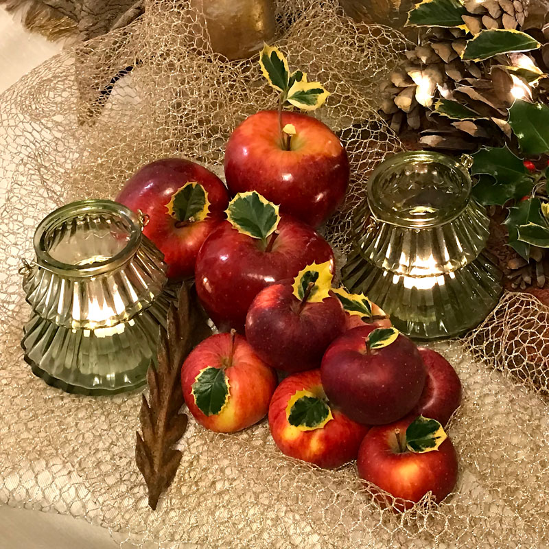 Shiny red apples embellished with sprigs and holly