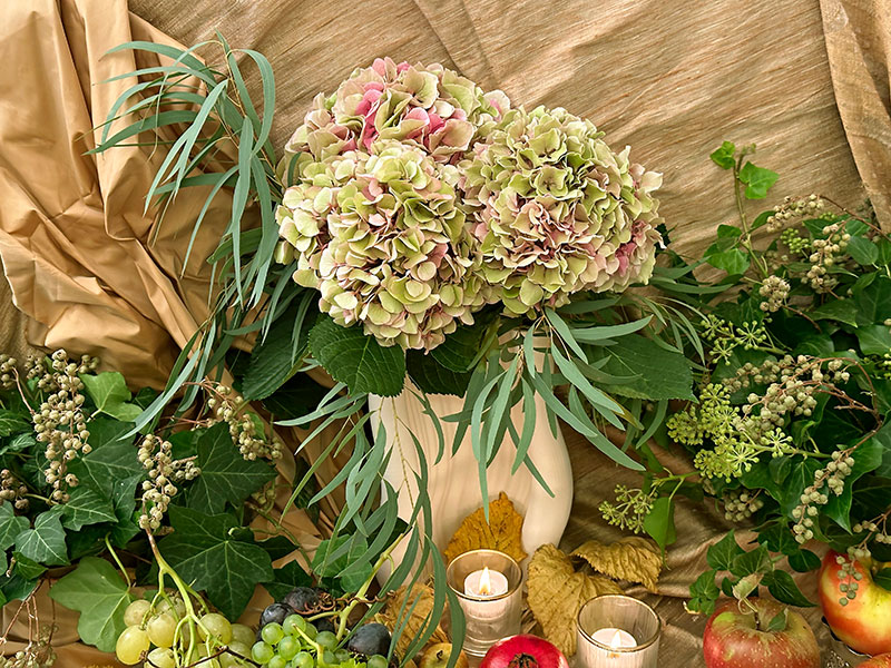 ample bouquet of smoky pastel hydrangeas